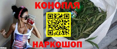 крисы Дубна